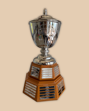 James Norris Memorial Trophy Replica – NHL Awards Series